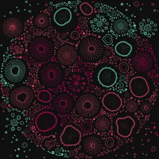 Petri Dish